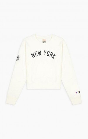 Dámské Mikiny Champion New York MLB Cropped Reverse Weave Sweatshirt Hnědé | 9751-MNPCU