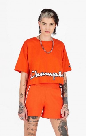 Dámské Tričko Champion Cropped Script Logo T-Shirt Oranžové | 3160-NJLFR