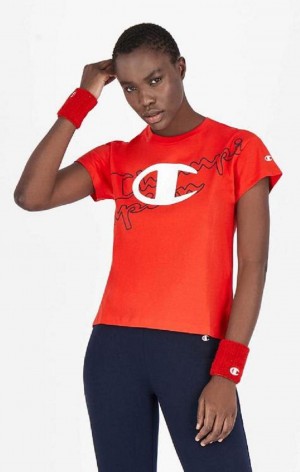 Dámské Tričko Champion Multi Logo Cropped T-Shirt Červené | 4972-BAHKP