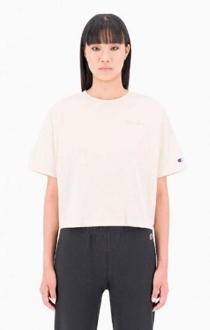 Dámské Tričko Champion Ombré Wash Cropped T-Shirt Žluté | 3724-OSLNX