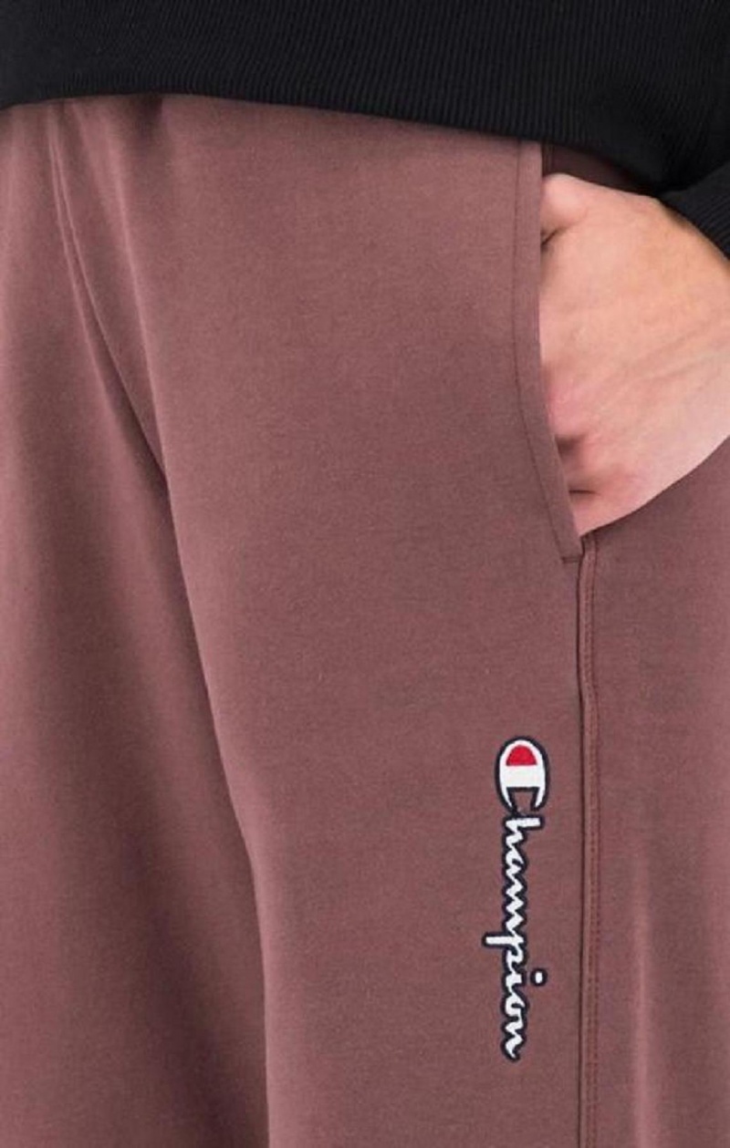 Dámské Jogger Kalhoty Champion Satin Stitch Script Logo Fleece Joggers Hnědé | 4531-SKBVF