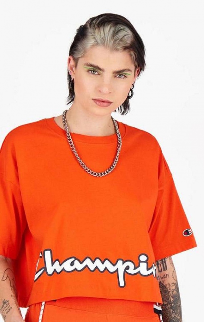 Dámské Tričko Champion Cropped Script Logo T-Shirt Oranžové | 3160-NJLFR