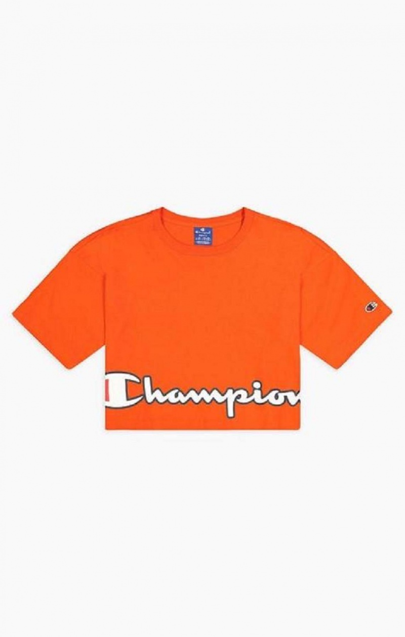 Dámské Tričko Champion Cropped Script Logo T-Shirt Oranžové | 3160-NJLFR