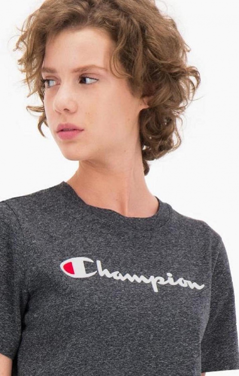 Dámské Tričko Champion Velvet Script Logo T-Shirt Světle Šedé | 6539-YDPOZ