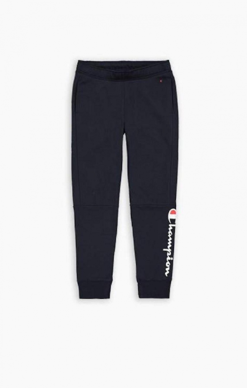 Pánské Jogger Kalhoty Champion Script Logo Bavlněné Terry Joggers Světle Šedé | 9261-HGSIA